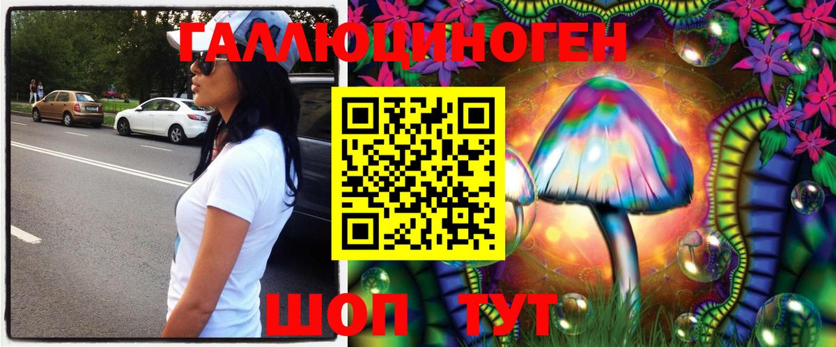 Куйбышев  Галлюциногенные грибы GOLDEN TEACHER  Вход с VPN 